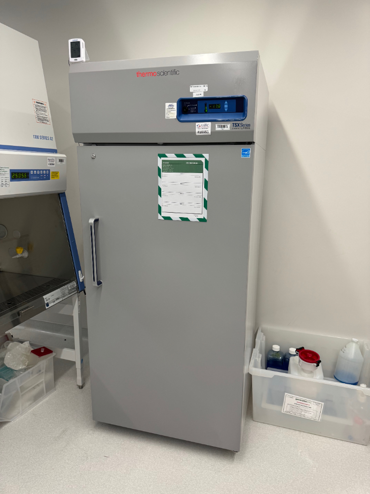Image of Thermo TSX Series -20C Freezer